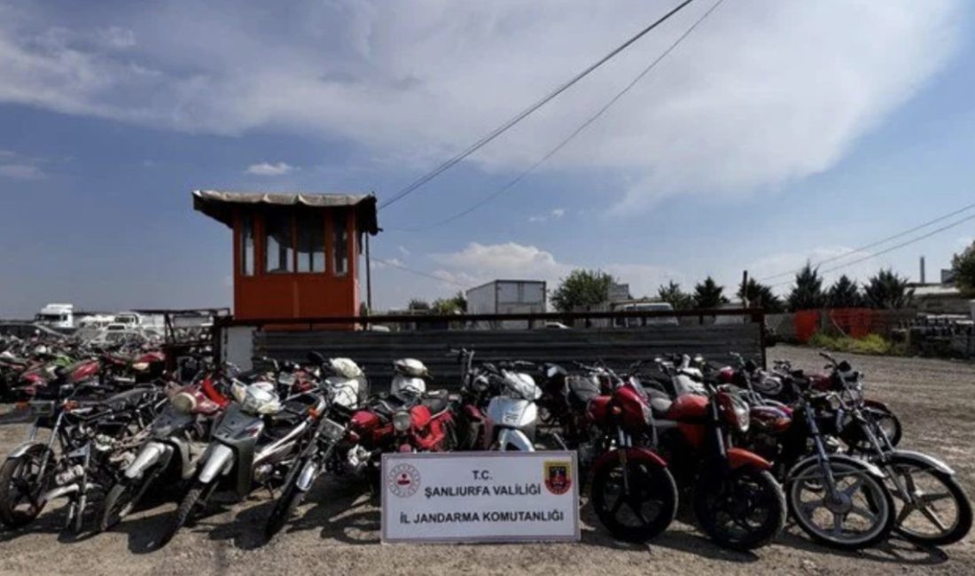 Eyyübiye ilçesinde motosiklet hırsızlığı yaparak şase numaralarını kazıdıktan sonra tekrar
