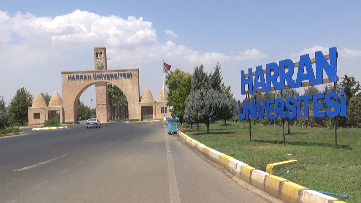 Harran Üniversitesi yerleşkesinde müdafaa altındaki 2 ceylan, başıboş köpeklerin saldırısı