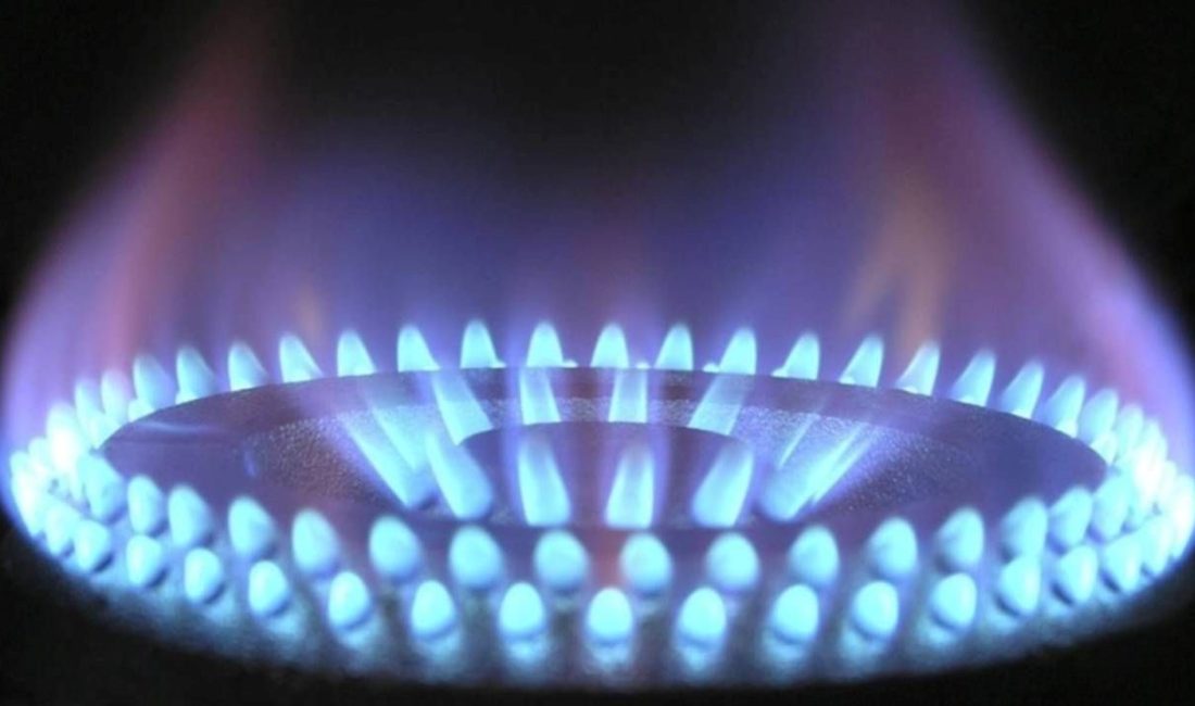 Aile ve Sosyal Hizmetler Bakanlığı ve Boru Hatları ile Petrol