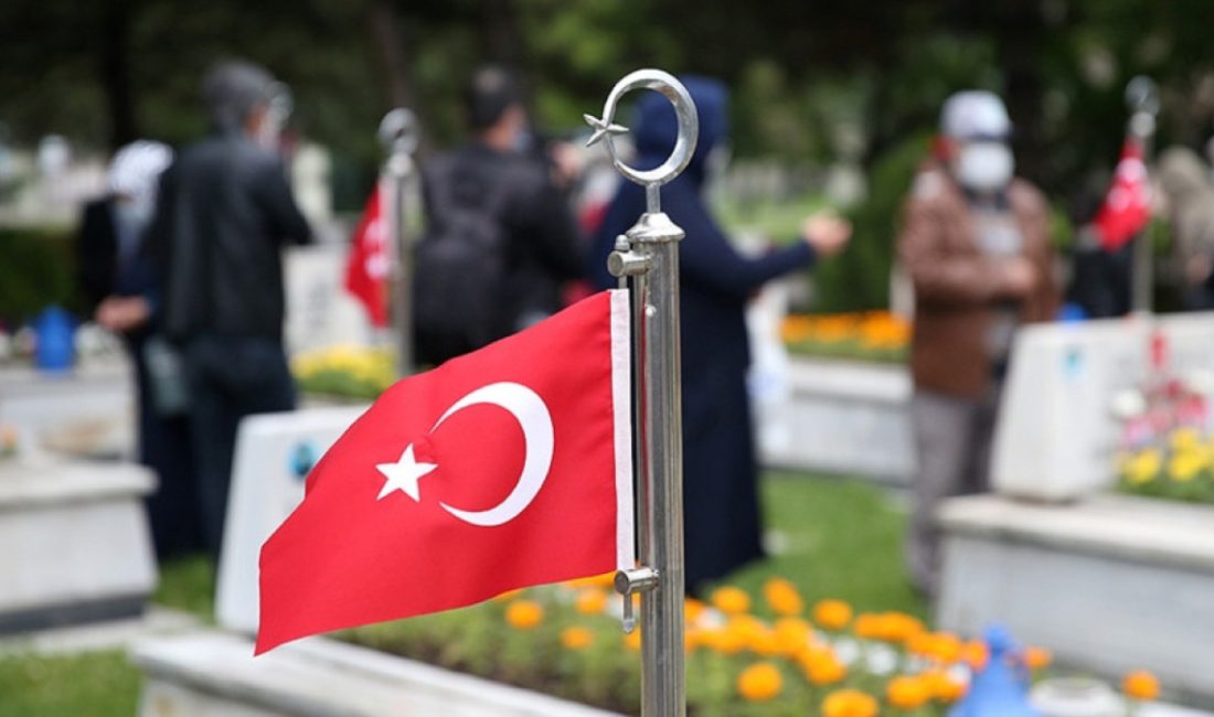 Aile ve Sosyal Hizmetler Bakanlığı ile Sağlık Bakanlığı işbirliğinde başlatılan