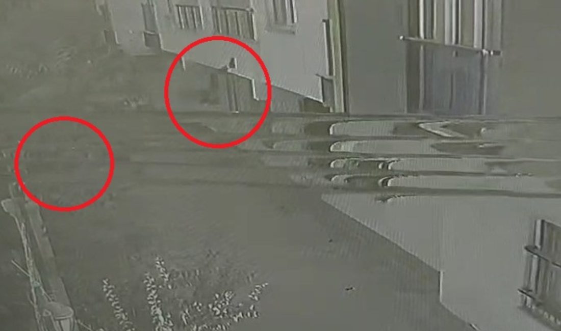 Siirt'te site duvarına çarpan bisikletten savrularak bahçeye düşen 2 çocuk