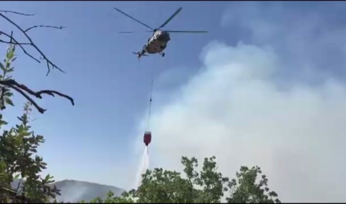 Gabar Dağı'nda çıkan örtü ve orman yangını havadan ve karadan
