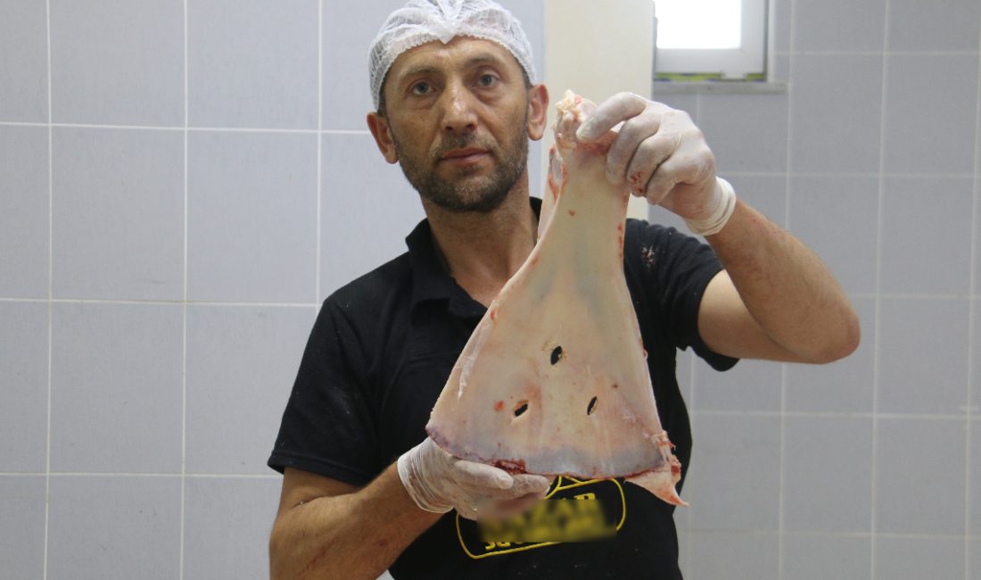 Selçuklu periyodundan bu yana süregelen gelenekte Sivas’taki kasaplar, küçükbaş hayvanlardan