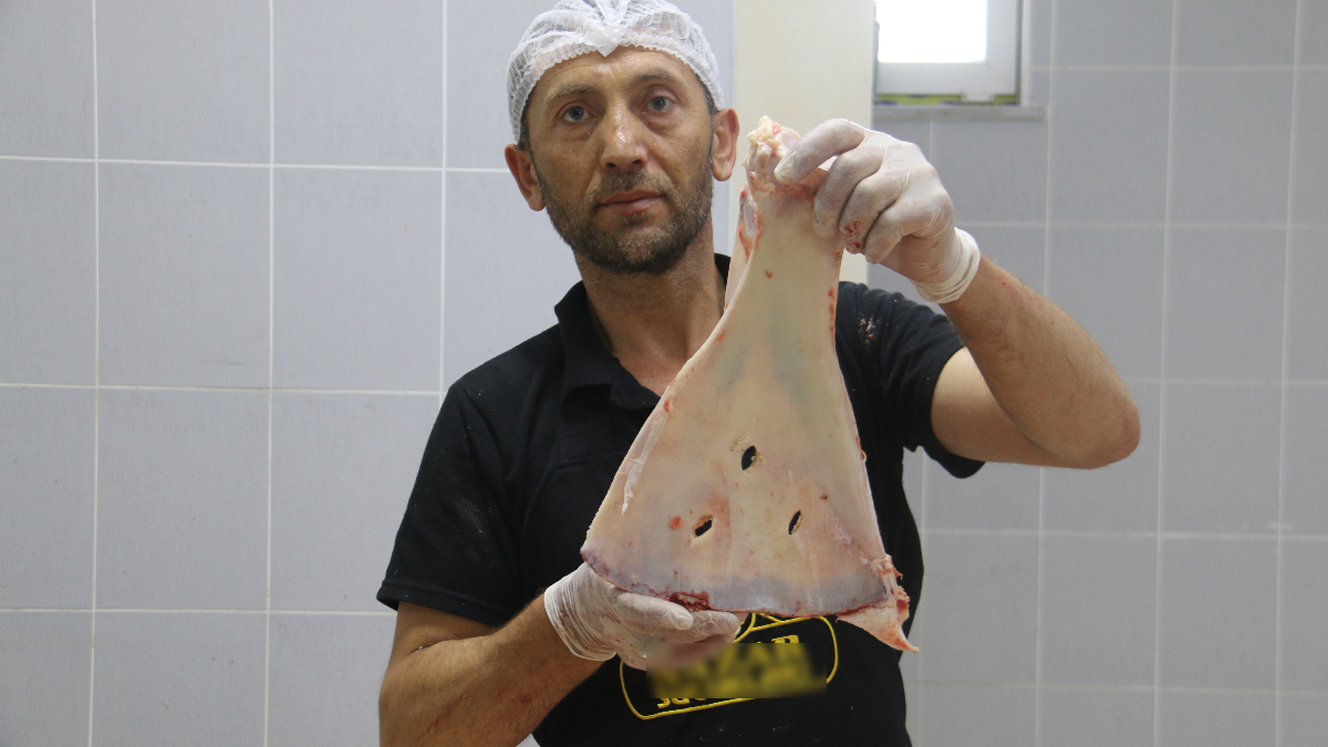 Selçuklu periyodundan bu yana süregelen gelenekte Sivas’taki kasaplar, küçükbaş hayvanlardan