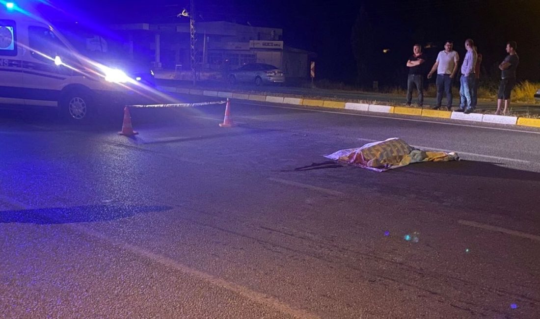 Sivas'ın Koyulhisar ilçesinde yolun karşısına geçmek isteyen Muhlise Aloğlu, yolcu