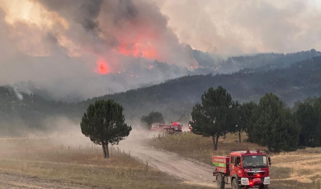 Eskişehir Seyitgazi'deki yangında, alevlerin ortasında kalan ve yaralı kaldırıldıkları hastanede