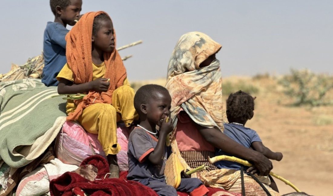 Sudanlı insan hakları kümesi Acil Durum Avukatları, Sudan ordusu ile