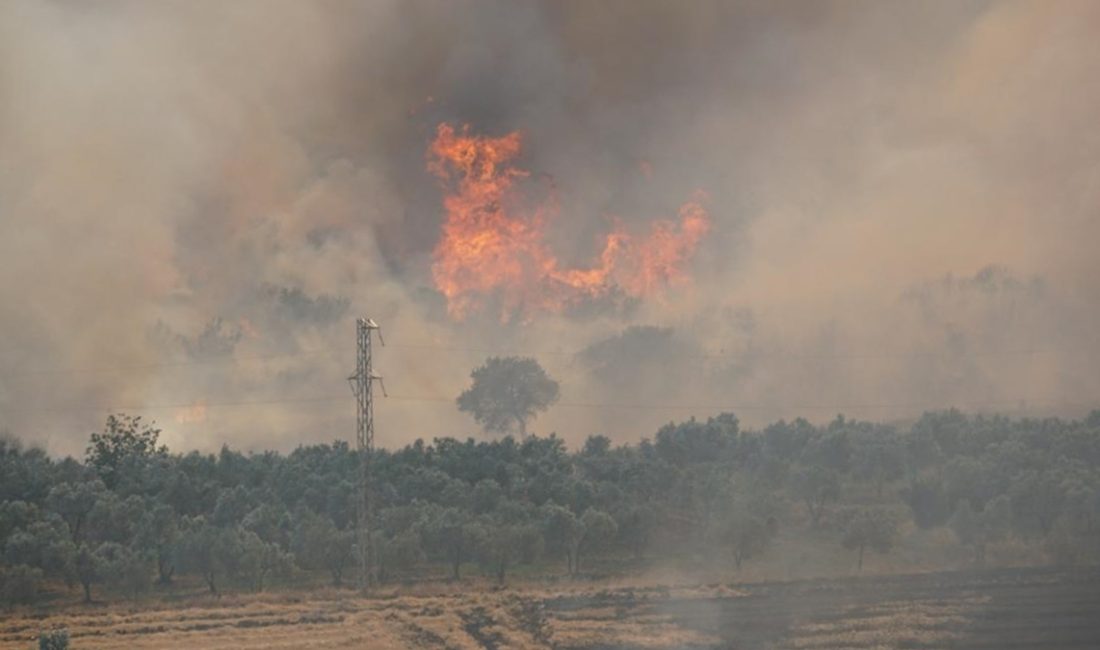 Şarköy ilçesinde tarım alanında başlayan anız yangını, rüzgarın tesiriyle ormanlık