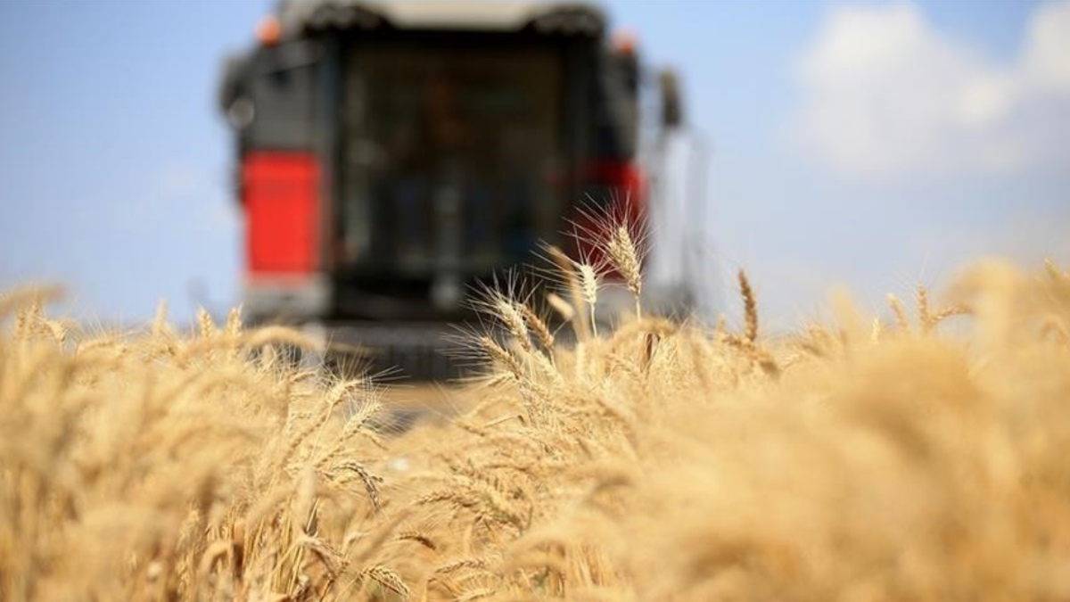 Türkiye, Birleşmiş Milletler Besin ve Tarım Örgütü'nün, üst idare organı