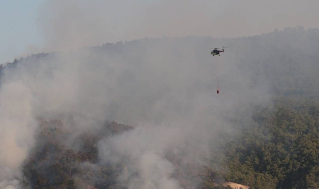 Çankırı'nın Ilgaz, Bolu'nun Göynük ilçelerinde orman, Aydın Bozdoğan'da tarım alanında