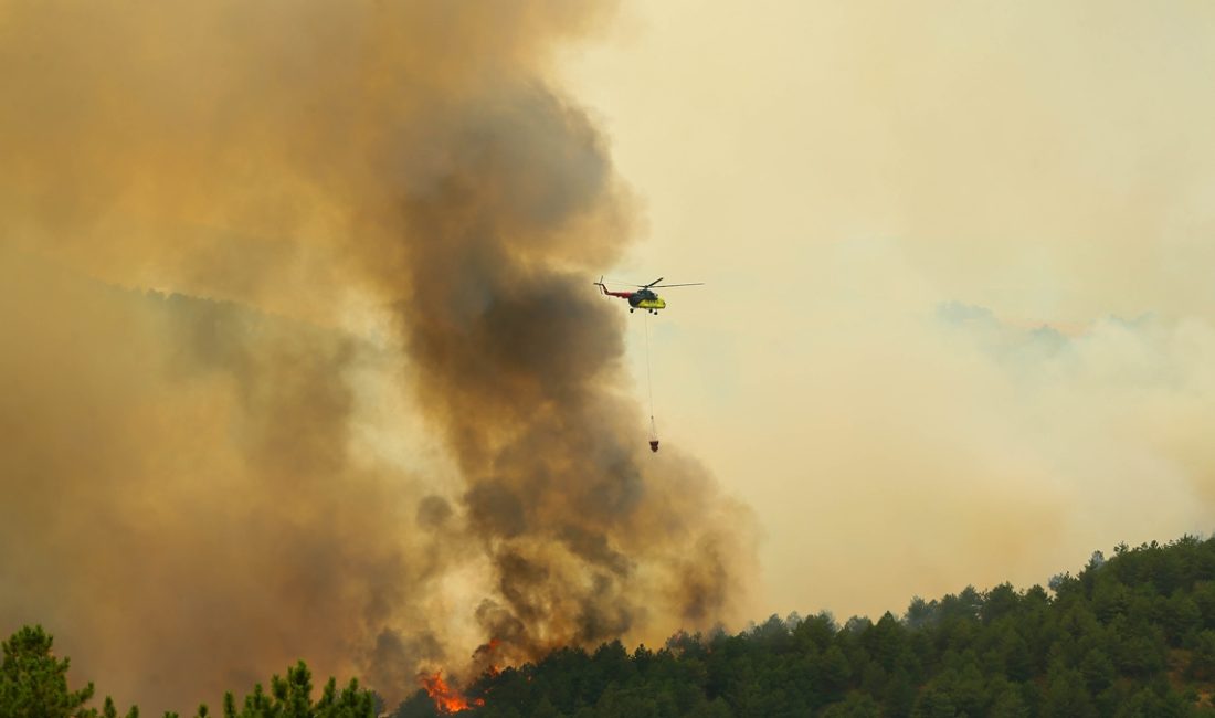 Merkeze bağlı Dağdemirler köyünde şimdi bilinmeyen nedenle ormanlık alanda çıkan