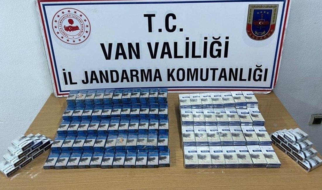 Van'da jandarma gruplarınca gerçekleştirilen kaçakçılık operasyonlarında 10 kuşkulu gözaltına alındı.