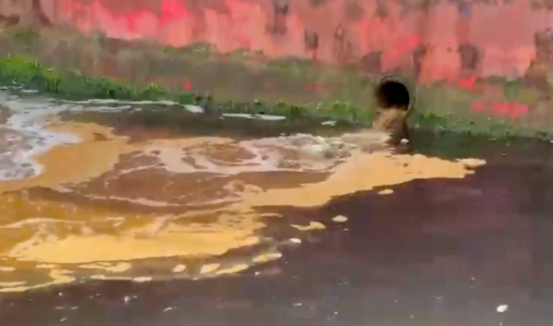 Etraf, Şehircilik ve İklim Değişikliği Bakanlığı, Yalova'da denize atık su