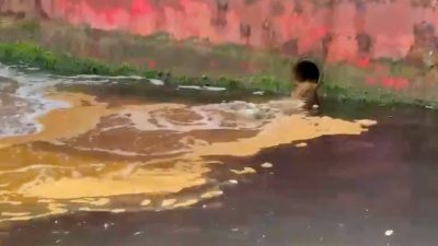 Etraf, Şehircilik ve İklim Değişikliği Bakanlığı, Yalova'da denize atık su