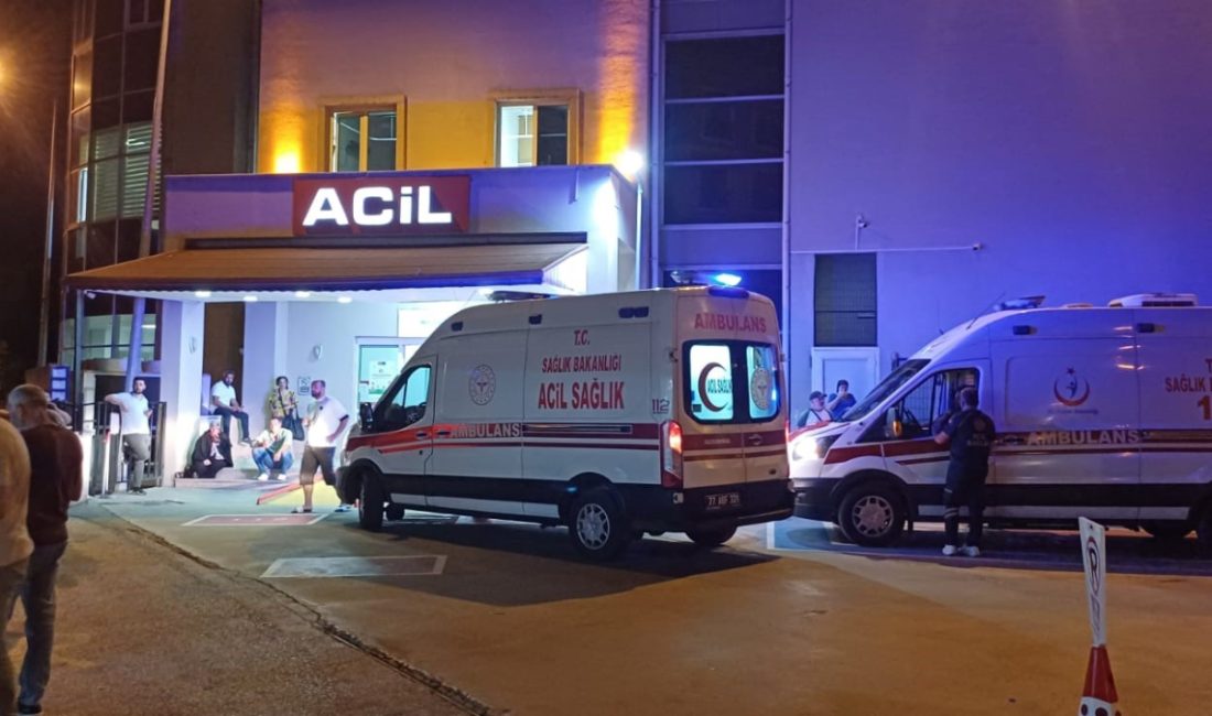 Yalova'nın Çınarcık ilçesine bağlı Teşvikiye beldesinde sünnet düğününde tavuklu pilav