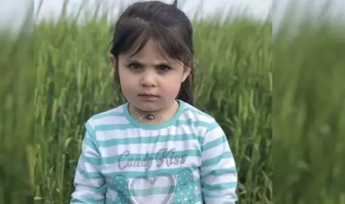 Ağrı'da, kaybolduktan 18 gün sonra cesedi bulunan 4 yaşındaki Leyla