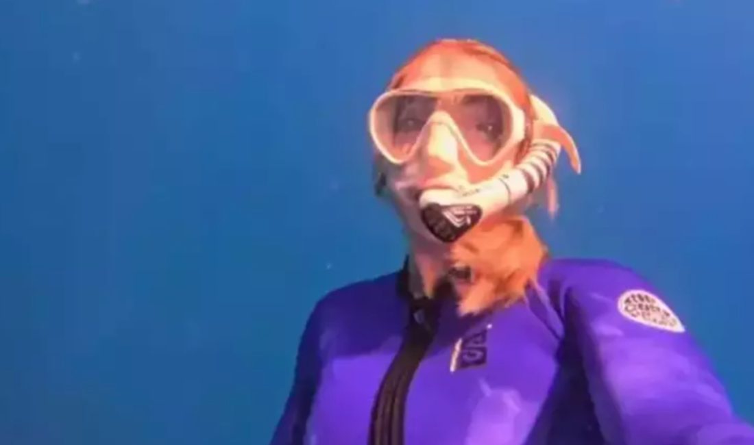 Bu sefer okyanusa dalan hoş oyuncu Yasemin Kay Allen, köpekbalıklarıyla