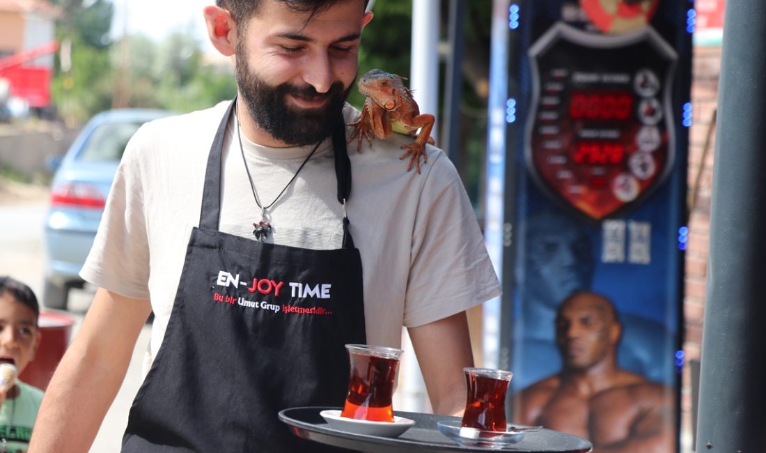 Sorgun ilçesine bağlı Bahadın beldesinde kafe işleten Güner Öztürk'ün, 1,5