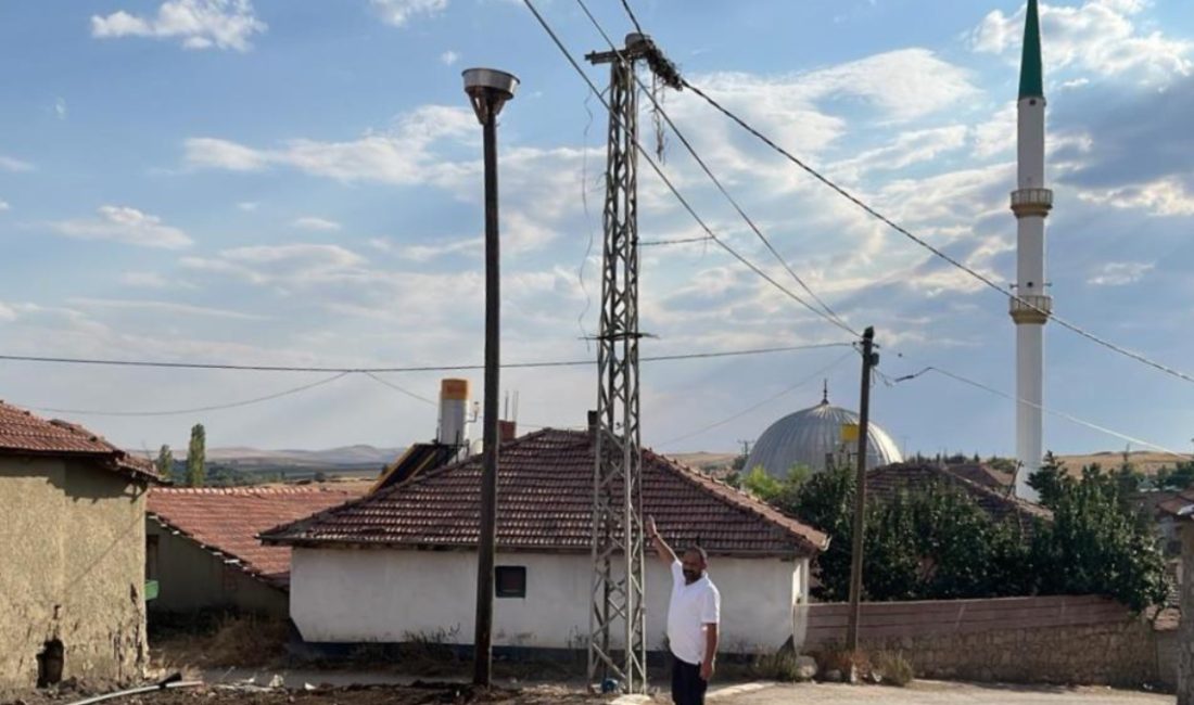 Yozgat'ta bir köyün simgesi haline gelen 20 yıllık leylek yuvası
