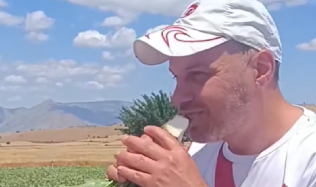 Bulgaristan'dan tatil için Türkiye'ye gelen iki turist, Yozgat'ta şeker pancarı
