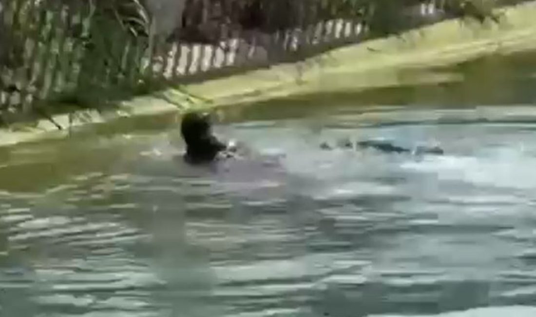 Seyhan ilçesinde sulama kanalında erkek cesedi bulunurken kimliği saptanamayan cansız