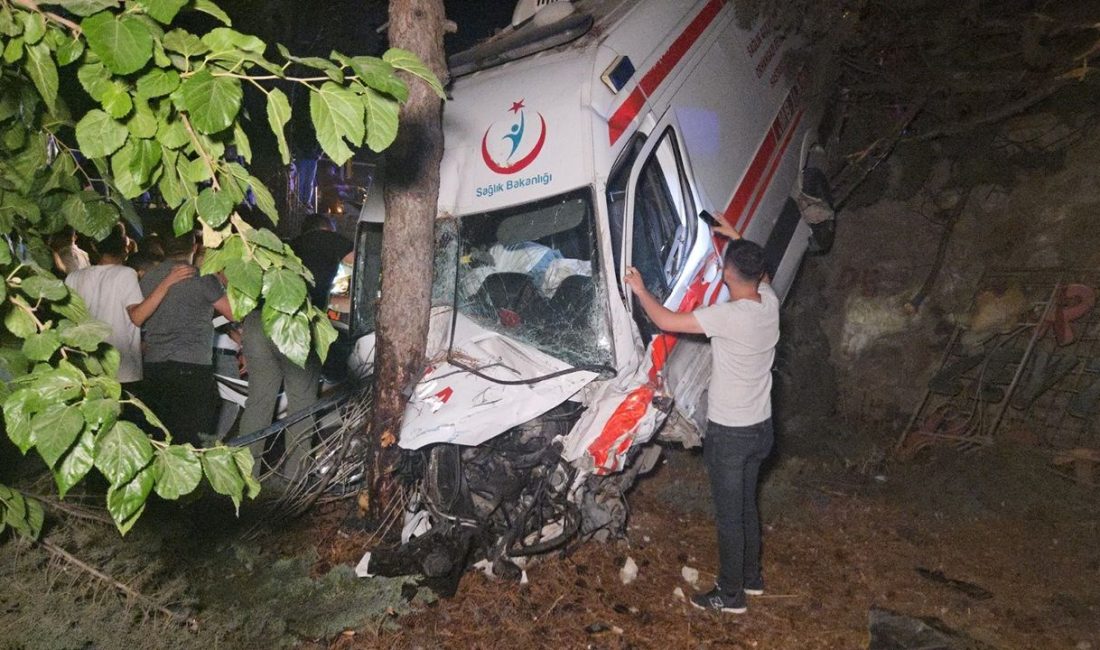 Bursa Orhangazi'de hasta taşıyan nakil ambulansı ile kamyonet çarpıştı. Bahçeye