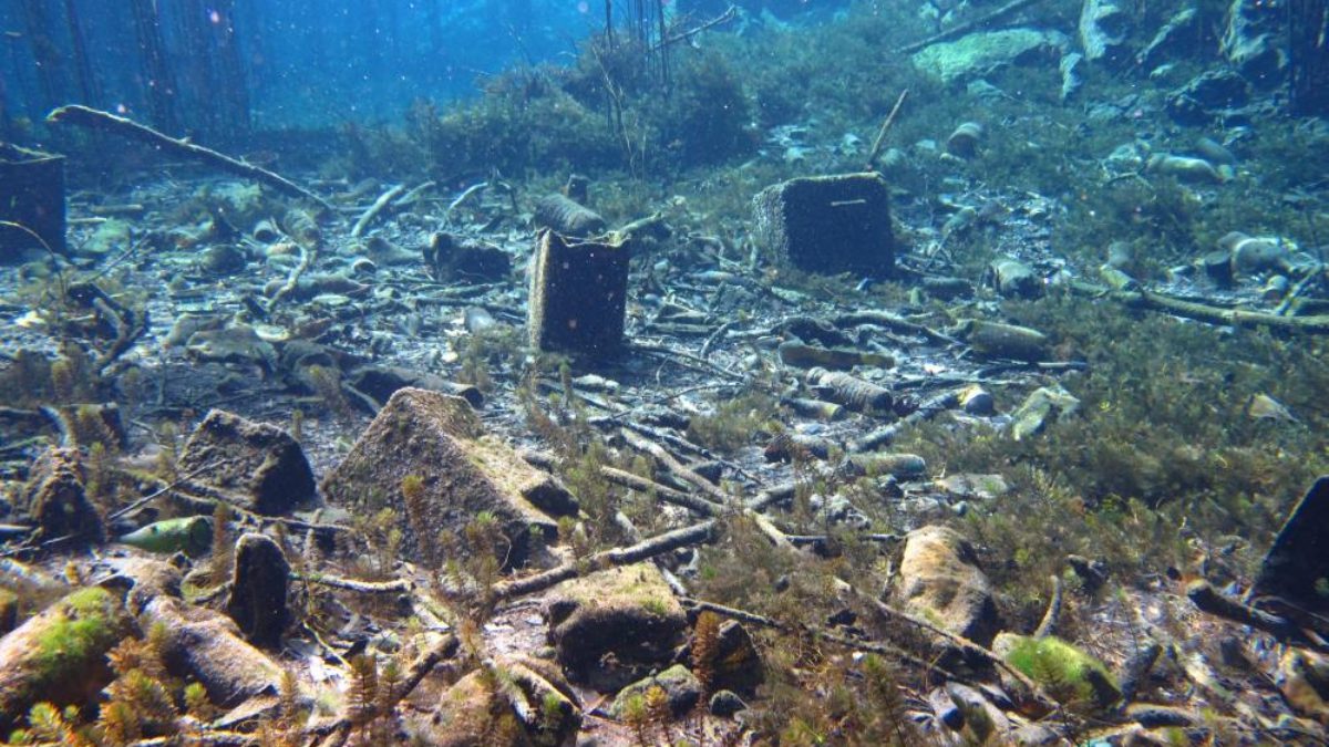 Antalya Körfezi'nde son günlerde denizin renginde ve canlı ömründe dikkat