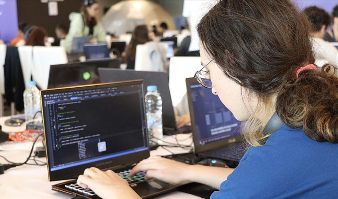 Merkezi idare bütçesinden Ar-Ge harcaması 2024 yılında 178 milyar 580