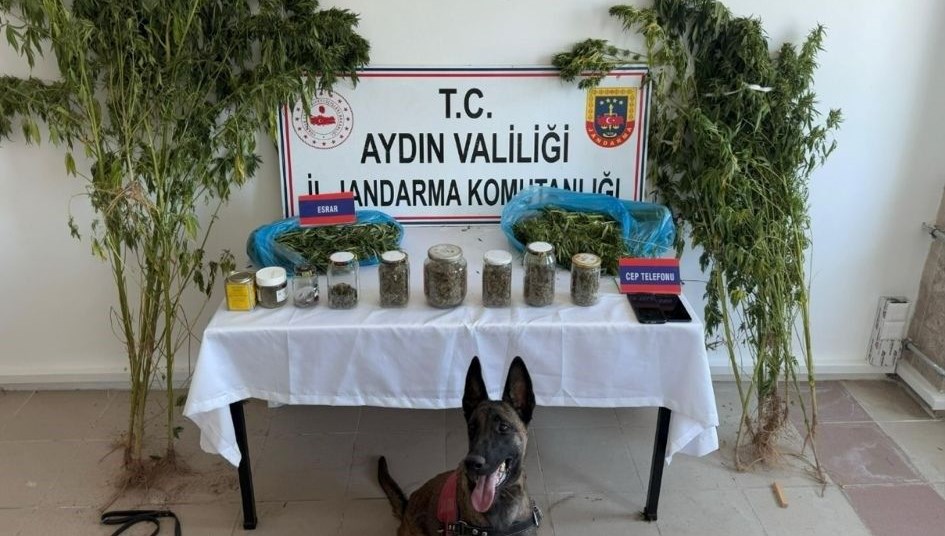 Aydın'da düzenlenen uyuşturucu operasyonlarında 12 kuşkulu yakaladı.