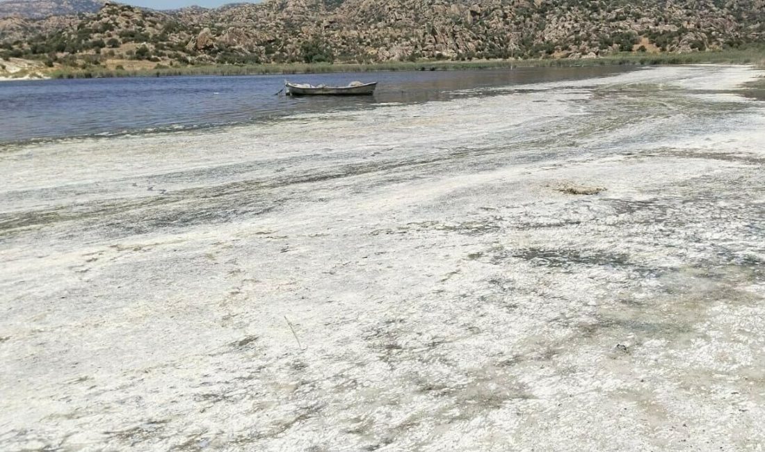 Muğla ve Aydın sonu içerisinde bulunan Bafa Gölü’nü kirlilik tehditi