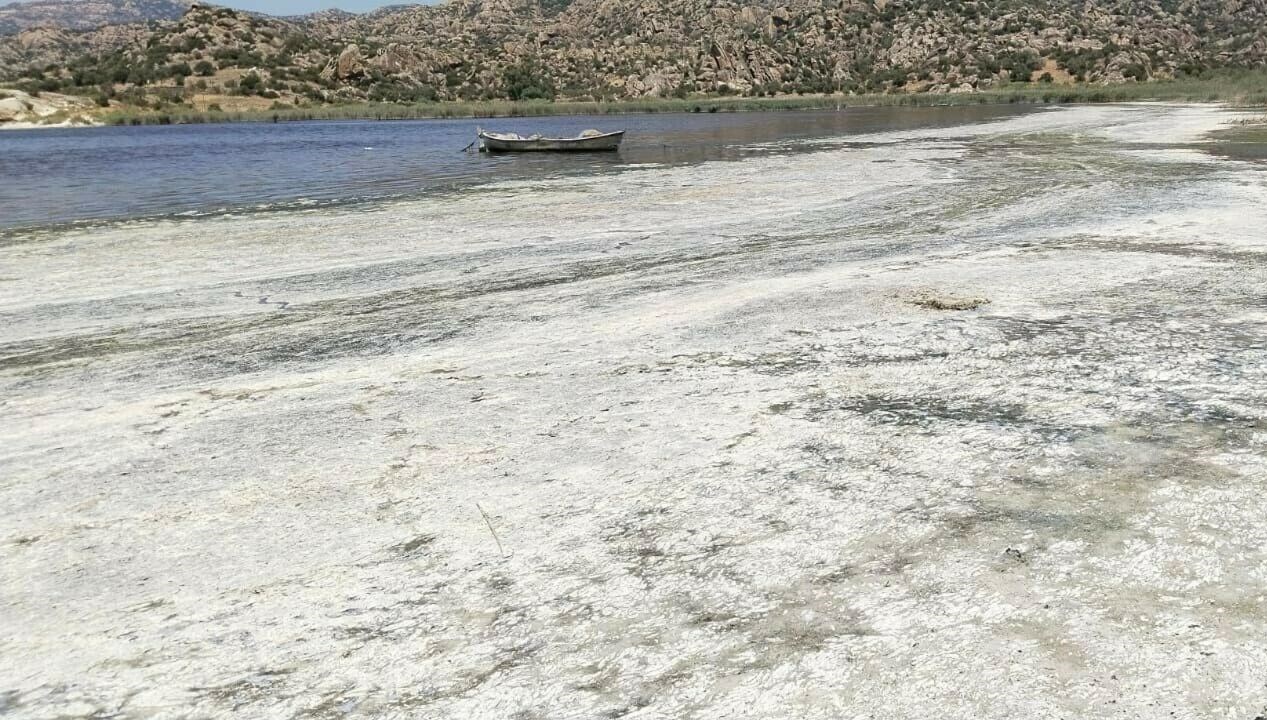 Muğla ve Aydın sonu içerisinde bulunan Bafa Gölü’nü kirlilik tehditi