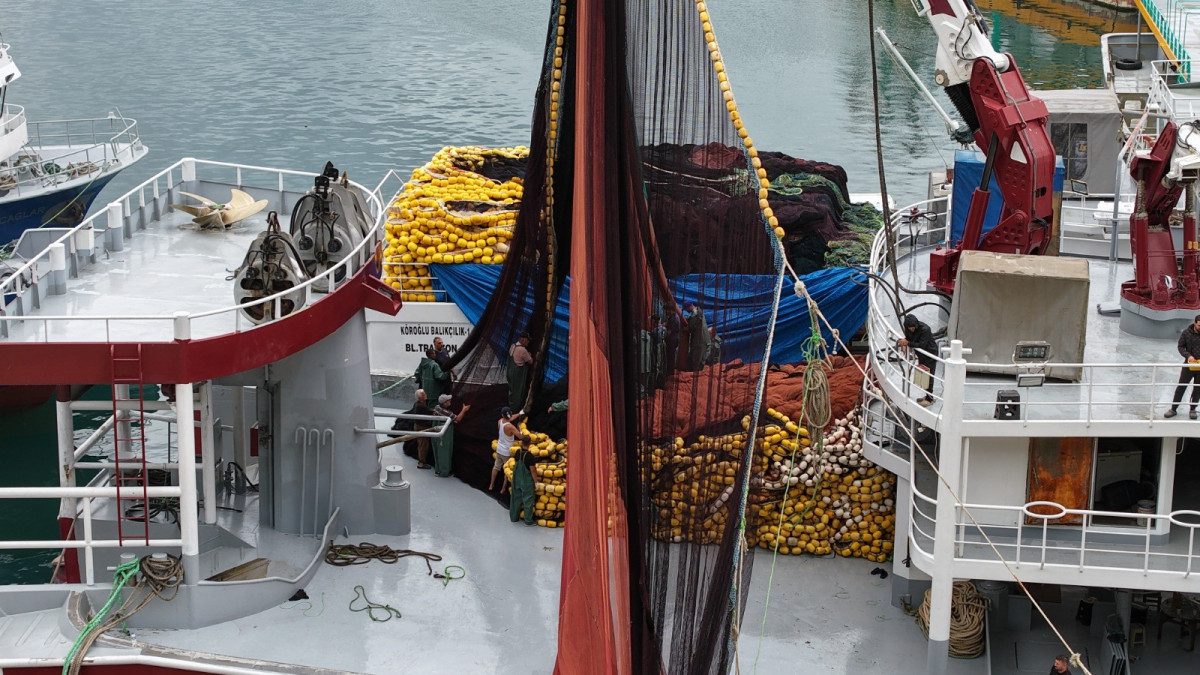 Türkiye'de denizlerde av yasağının sona ermesiyle balıkçılar 1 Eylül gecesi