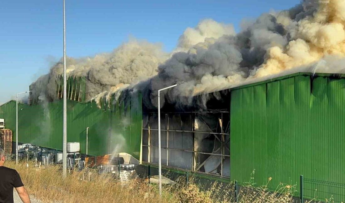 Balıkesir'in Gönen ilçesinde, iki kişinin ömrünü yitirdiği fabrika yangınına ait