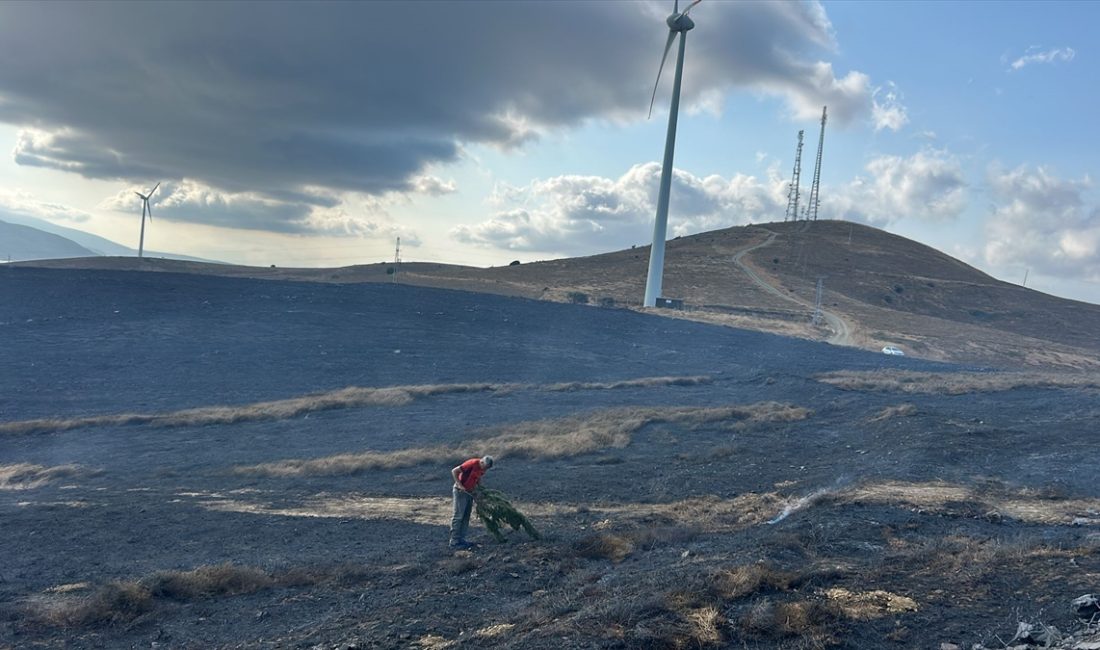 Balıkesir’in Erdek ilçesine bağlı Paşalimanı Adası’nda çıkan arazi yangını, itfaiye