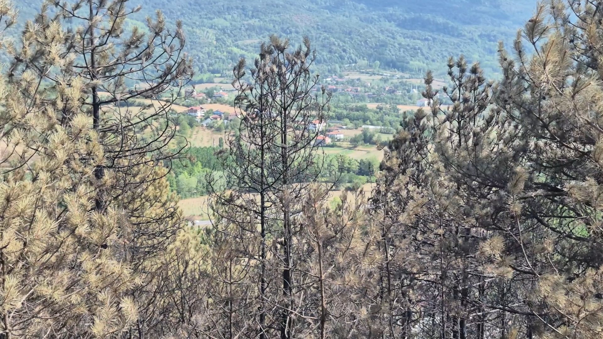 Bartın'ın Kayadibi Çavuş köyündeki orman yangınında tahribat havadan çekilen imgelerde