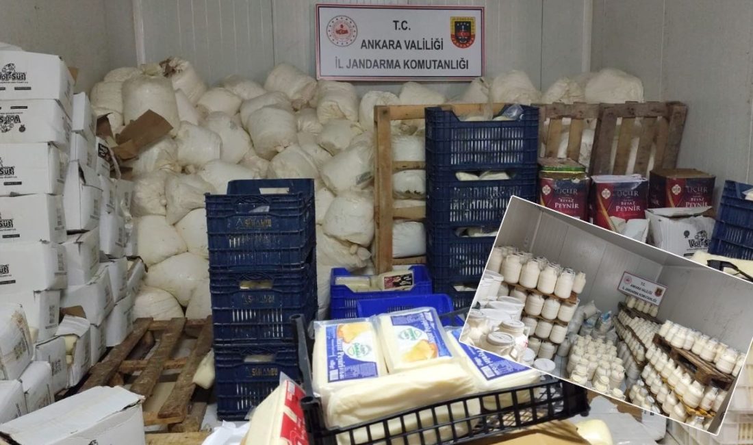 Ankara'nın Kahramankazan ilçesinde faaliyet gösteren bir işletmede halk sıhhatini tehdit