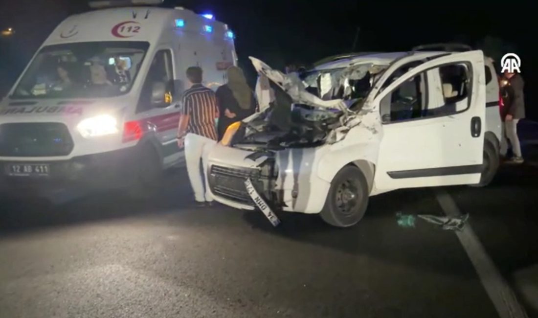Karlıova ilçesinde cet çarpan hafif ticari araçtaki 1 kişi ömrünü