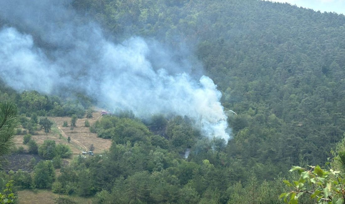 Bolu'da Pelitcik köyü mevkisindeki ormanlık alanda yangın çıktı. Alevlere müdahale