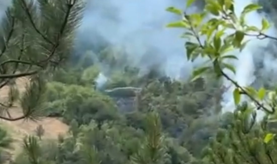 Bolu'da öğlen saatlerinde ormanlık alanda yangın çıkarken vatandaşların ihbarı üzerine