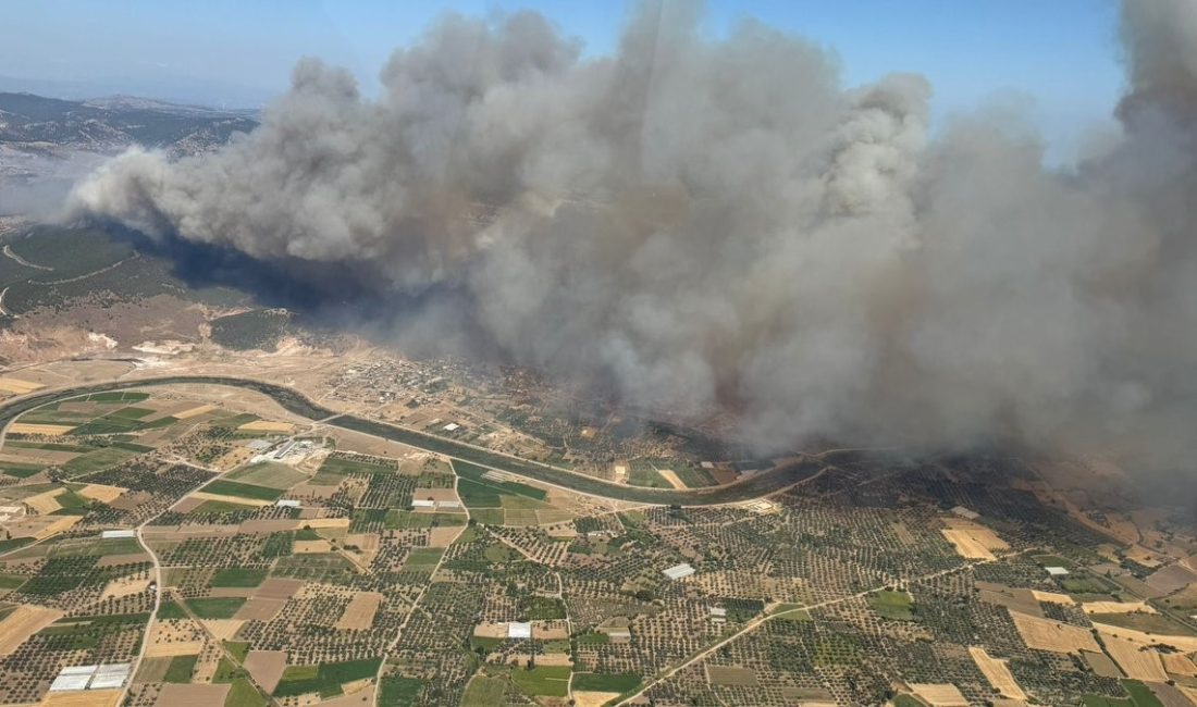 Çanakkale'nin Ayvacık ilçesinde 15 Temmuz'da çıkan ve 21 saat sonra