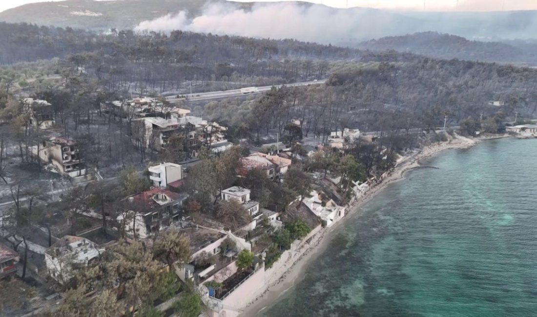 Yangında büyük ziyan gören Güzelyalı bölgesindeki villalardaki ziyan sabah saatlerinde