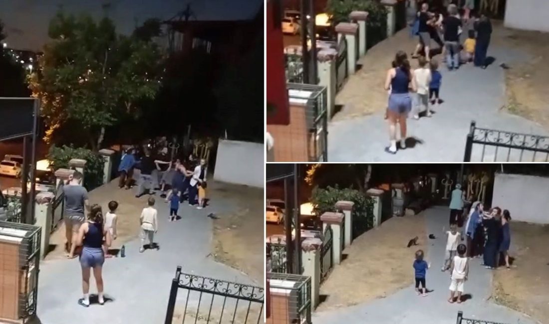 Kağıthane'de bir parkta oyun oynayan çocukların arbedesine anneler de dahil