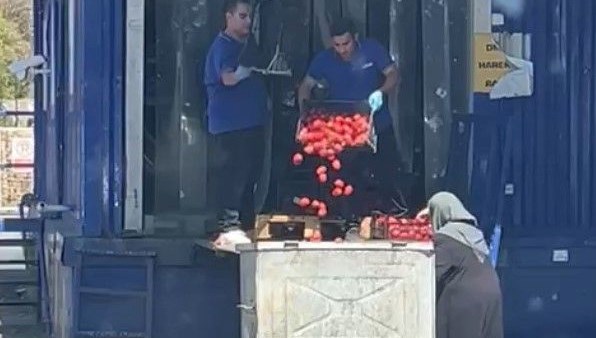 İstanbul'da bir markette kasalarca domatesin çöpe atıldığı anlar toplumsal medyada