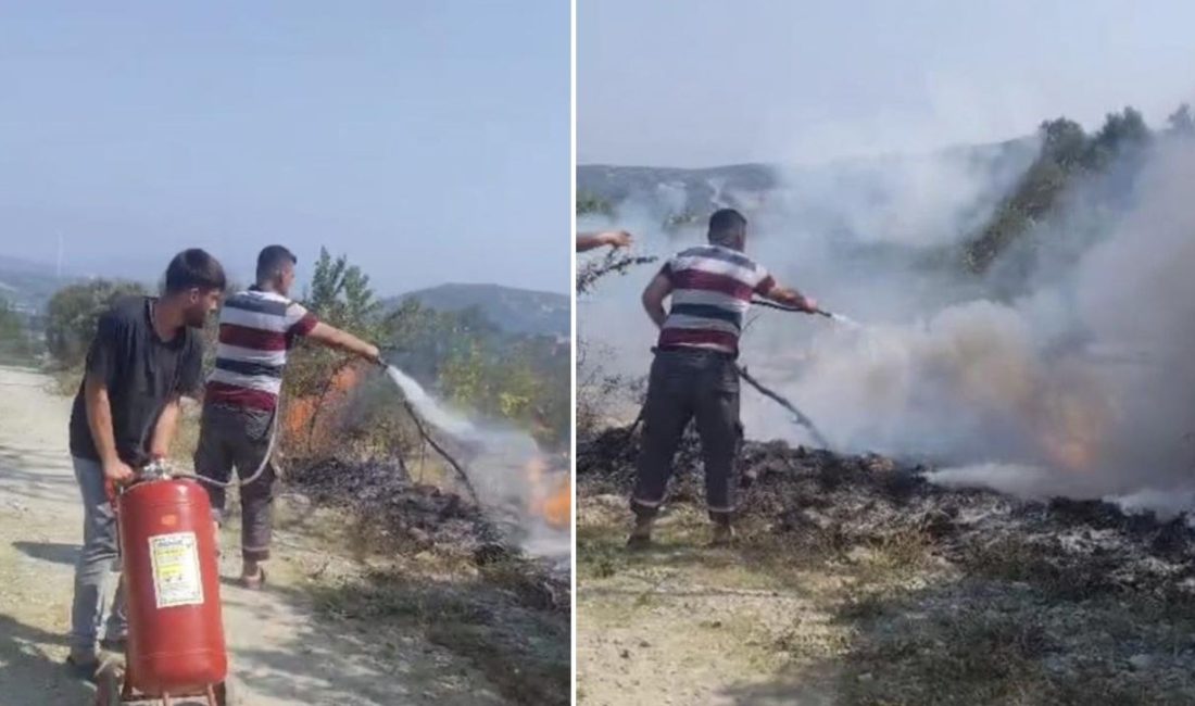 Hatay'ın Yayladağı ilçesinde sıcak havanın tesiriyle kopan elektrik teli, otluk