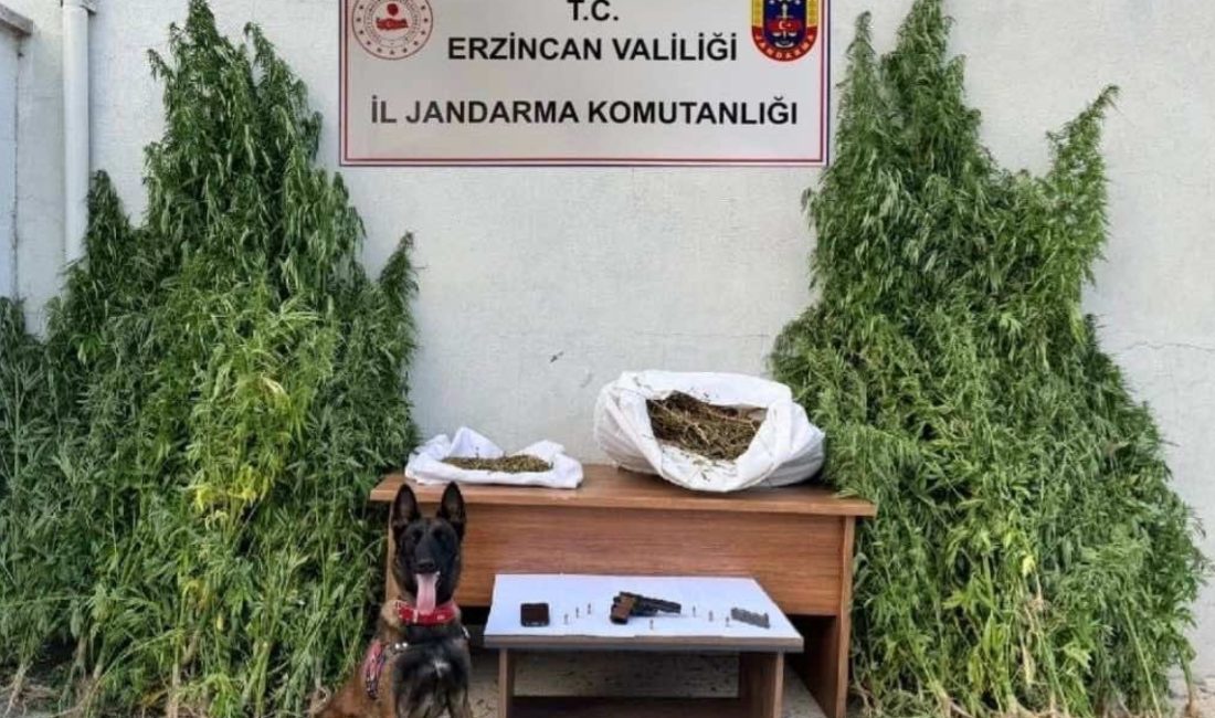 Erzincan’ın Refahiye ilçesinde bir mesken ve eklentilerine, jandarma takımlarınca operasyon