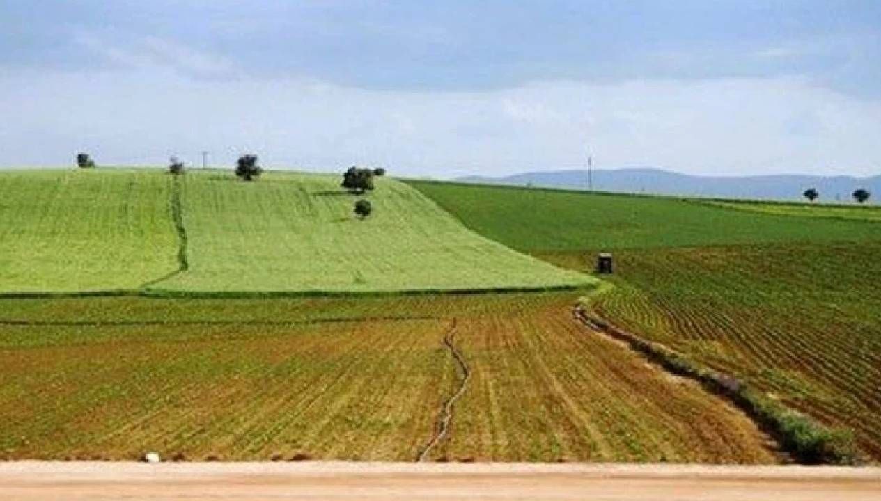 İki yıl üst üste ekilmeyen tarlaların devlet tarafından kiraya verilmesi