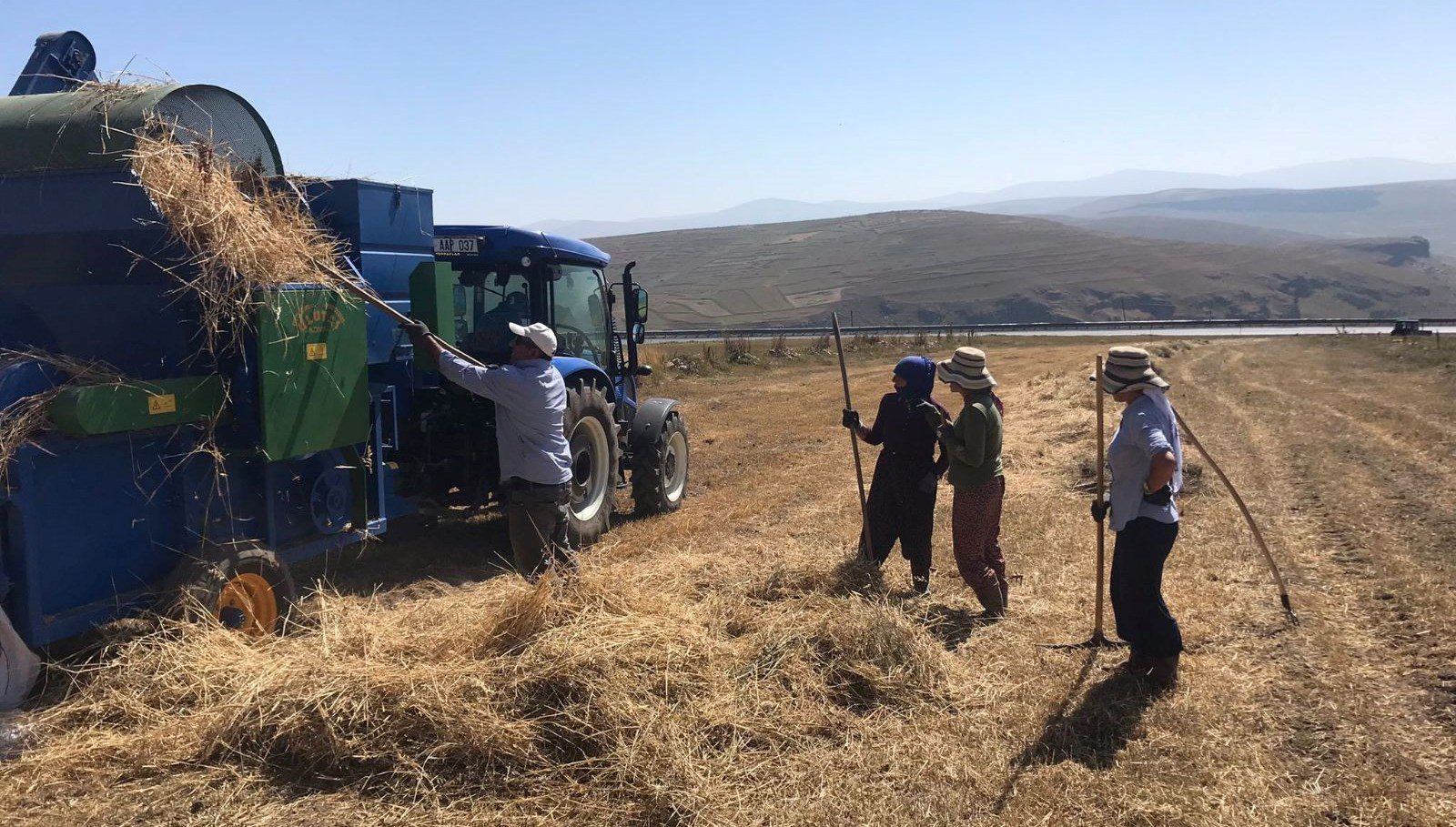 Ardahan'ın Damal ilçesinde çiftçilerin patoz mesaisi başladı.