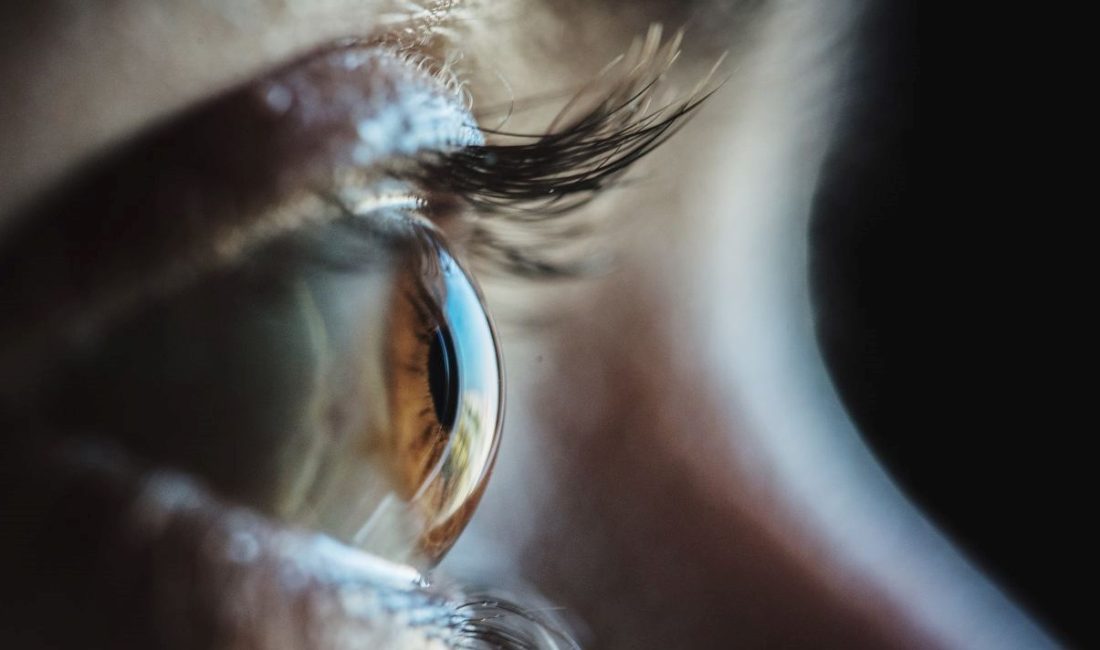 Yeni bir araştırmaya nazaran, göz hareketlerindeki değişiklikler hafıza kaybının erken