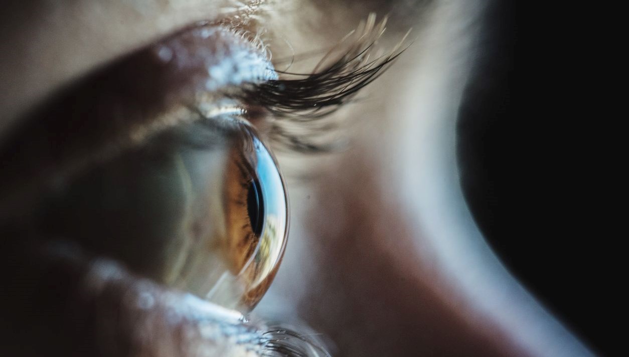 Yeni bir araştırmaya nazaran, göz hareketlerindeki değişiklikler hafıza kaybının erken