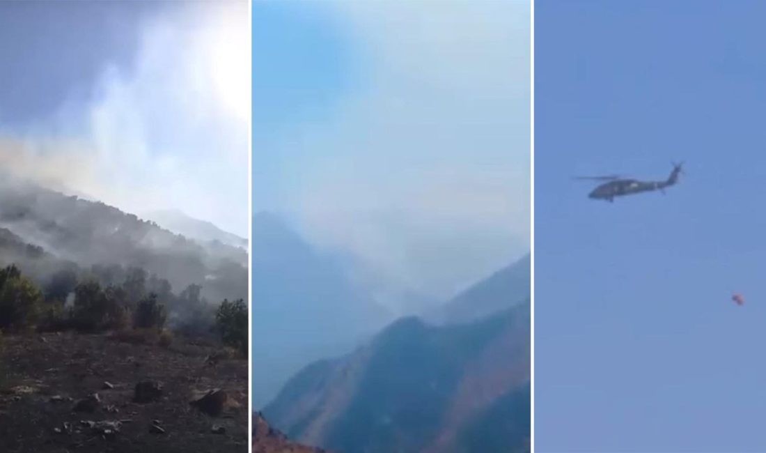 Hakkari'nin Yüksekova ilçesine bağlı Dağlıca'da çıkan orman yangını iki gündür